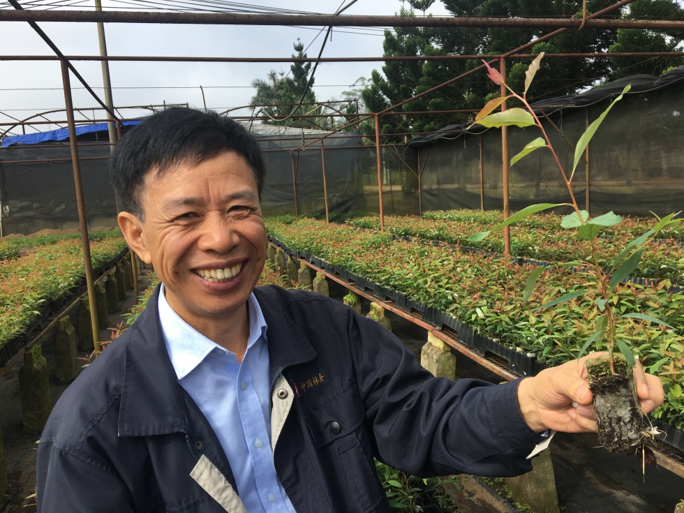 El doctor Wendling Huang, director general adjunto de las operaciones forestales de APP-China, contagia su entusiasmo cuando habla de su trabajo...