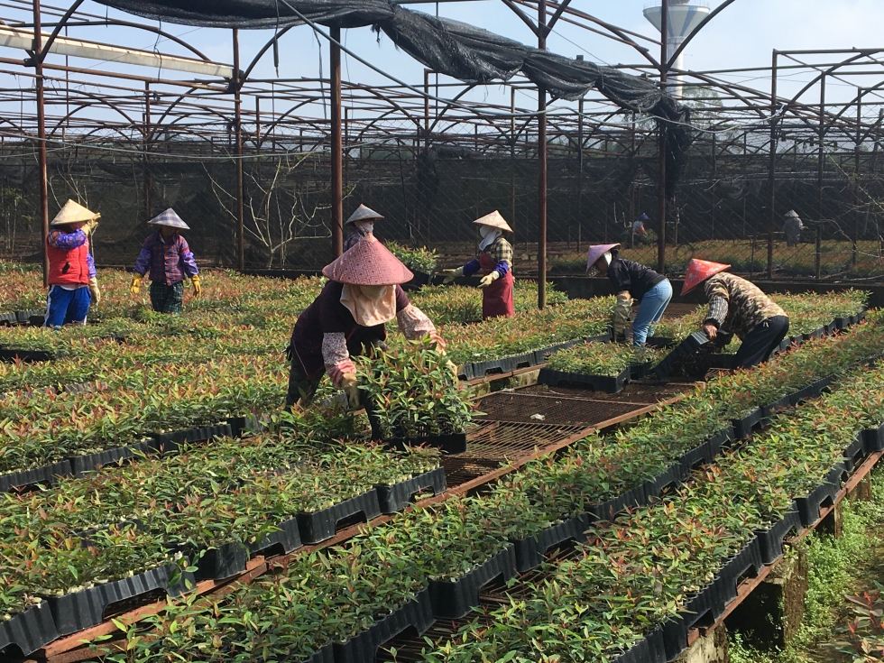 Trabajadoras de APP cuidan con mimo los cultivos