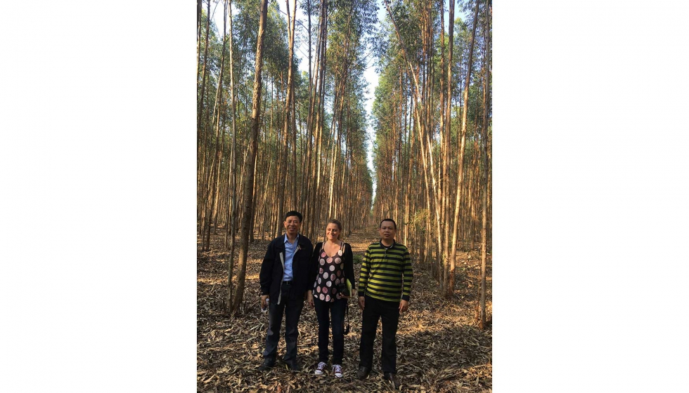 Wendling Huang, Laura Barreiro y el responsable de la plantacin de eucaliptus en el bosque de la regin de Lingao de APP...