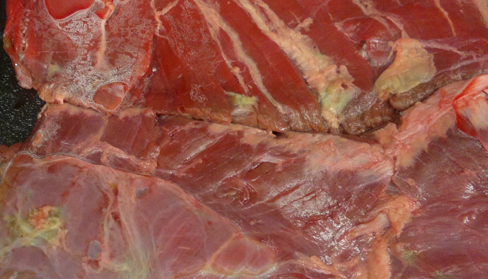 La mayora de casos de carne en mal estado se generan por prcticas inadecuadas durante la distribucin, almacenamiento y preparacin culinaria...