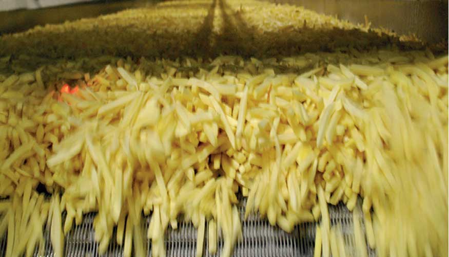 En Europa se producen 10 millones de porciones de patatas fritas por da