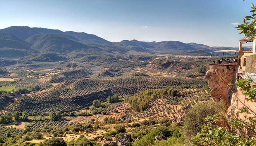 La DO abarca una zona de produccin de 40.000 hectreas pertenecientes a ms de 8...