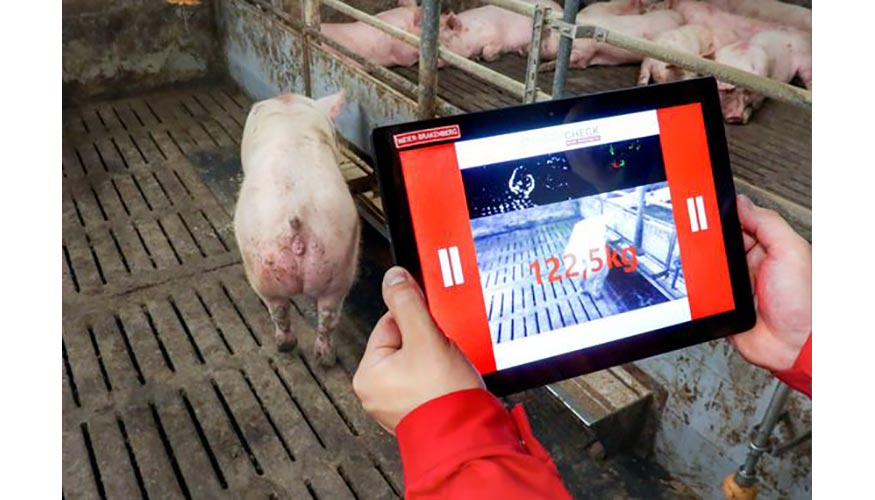 En el espacio Digital Farm de Livestock Forum se podrn ver las ltimas novedades en tecnologa aplicada a la salud animal...