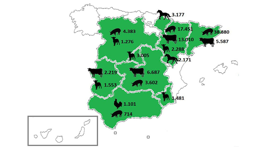 Exportacin espaola de carne fresca hacia Italia en 2016 (miles de euros). Fuente: Icex