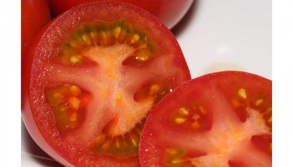 Para recrear el bioplstico artificial, los cientficos utilizaron desechos de frutos de tomate