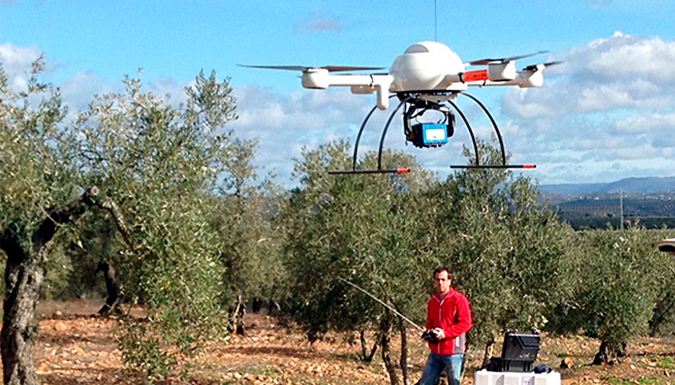 El investigador del grupo imaPing Jorge Torres Snchez vuela un dron sobre olivar. Imagen perteneciente al artculo (http://journals.plos...