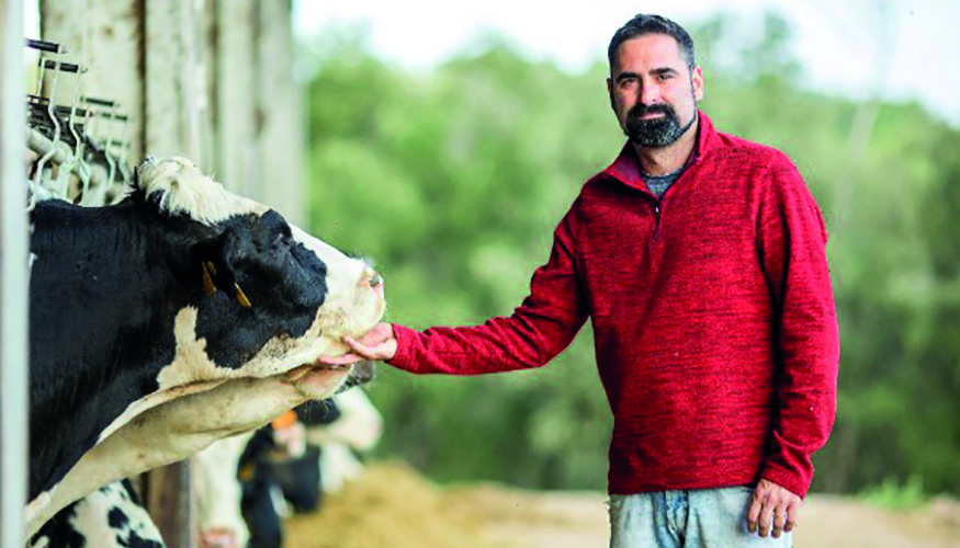 El objetivo es desarrollar un protocolo de bienestar animal que se pueda aplicar a las granjas proveedoras de leche