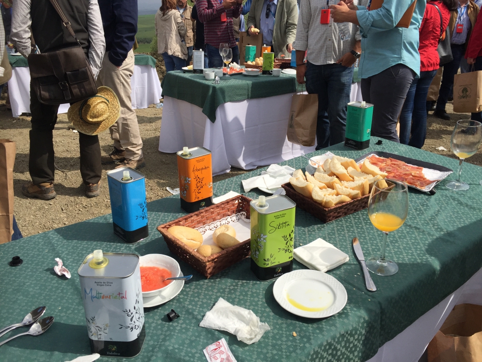 Desayuno molinero con degustacin de varios tipos de aceites de oliva virgen