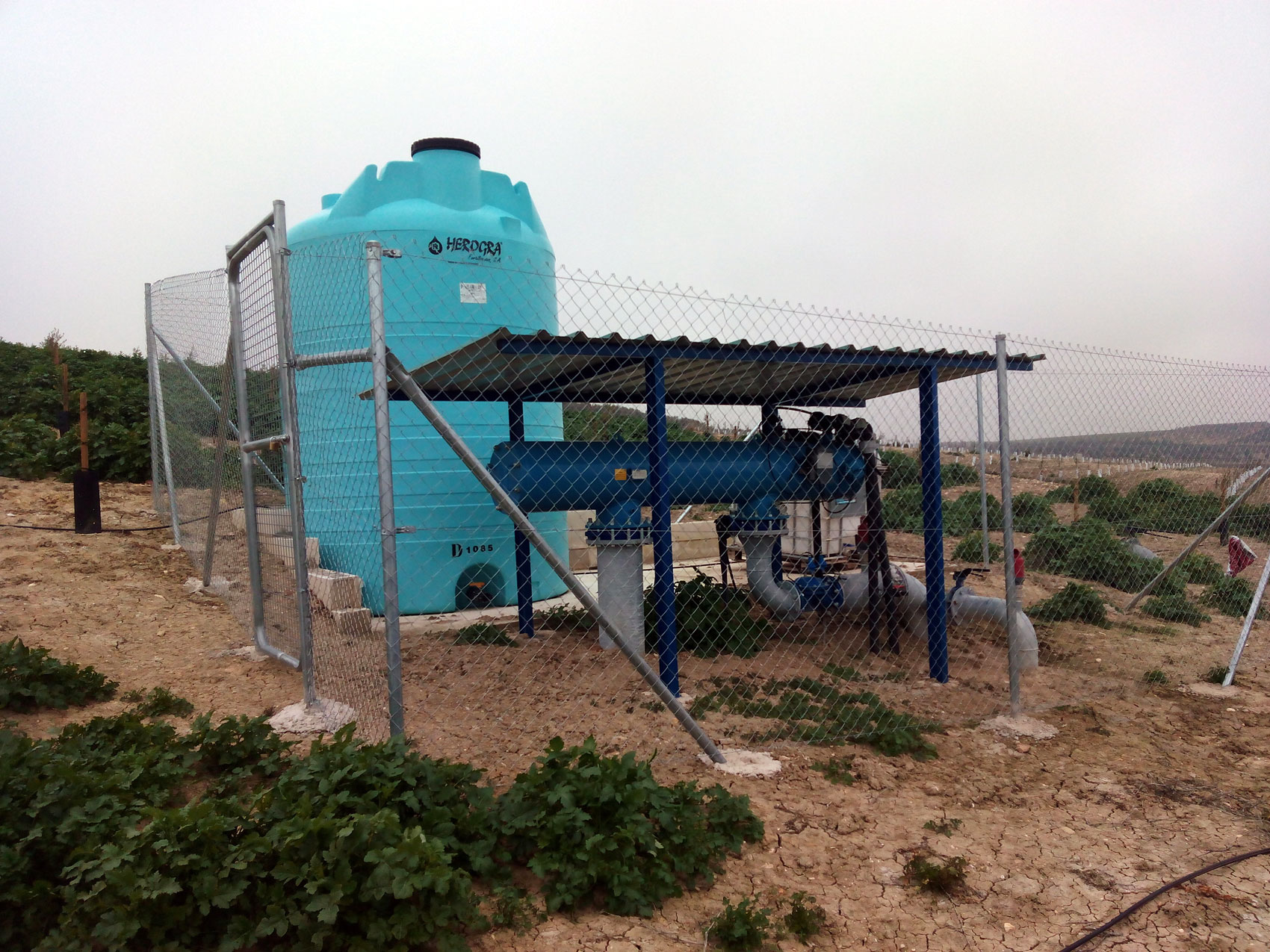 Cabezal de filtrado instalado en parcela de olivar joven equipado con tanques de almacenamiento de soluciones lquidas y bomba inyectora hidrulica...