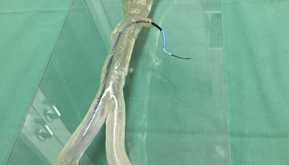 Modelo impreso en 3D transparente de Stratasys de un arco artico especfico para cada paciente...