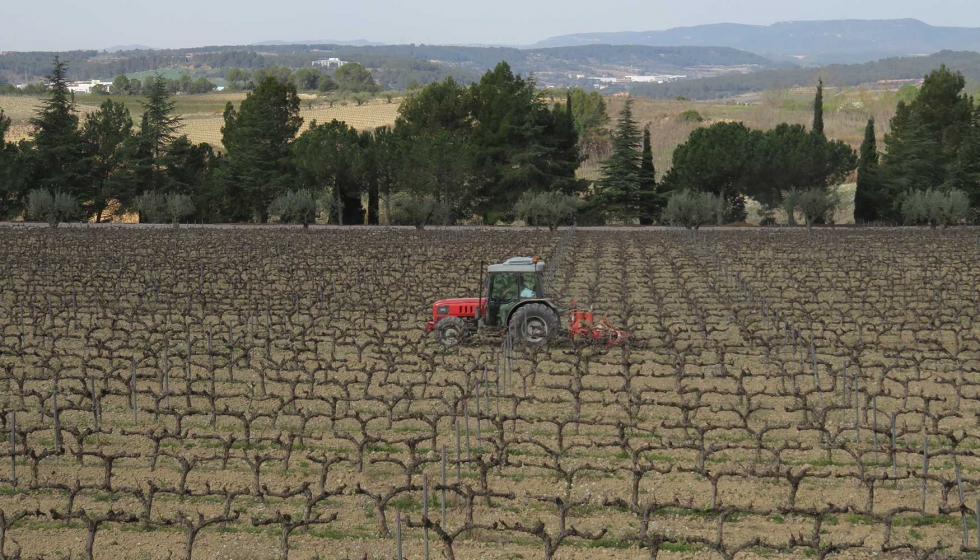 Aplicar la viticultura ms adecuada a cada terreno es una de las soluciones subrayadas durante el encuentro de expertos