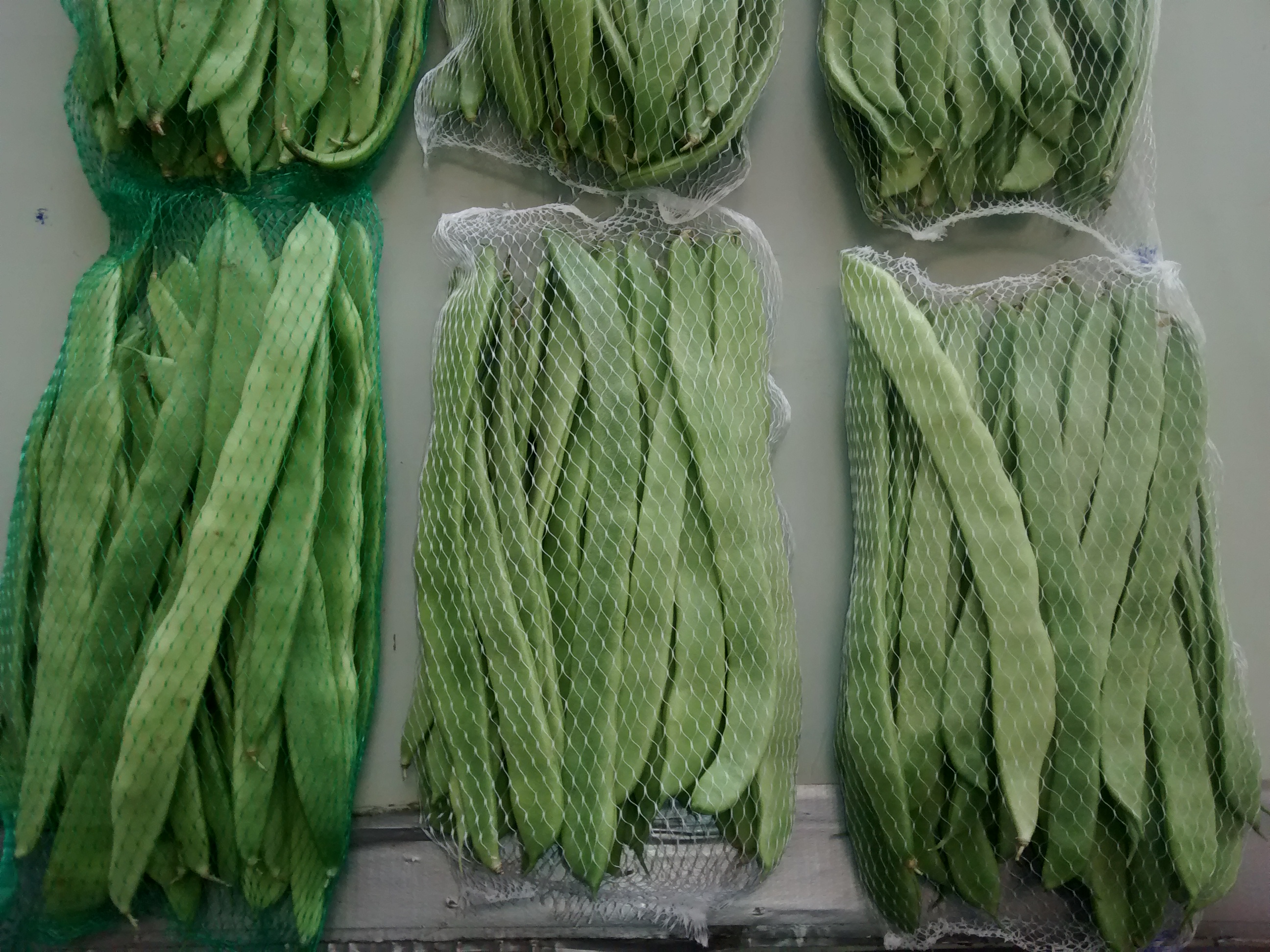 Mallas para judas verdes realizadas a partir de azucares obtenidos de la sanda y el meln