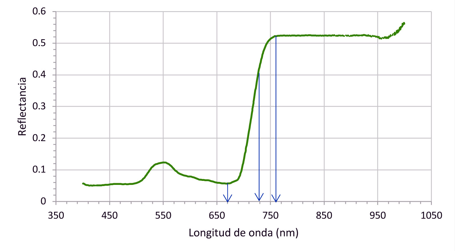Figura 1: Ejemplo de reflectancia a diferentes longitudes de onda de hojas de espinaca medidas con el sensor hiperespectral CI-710...