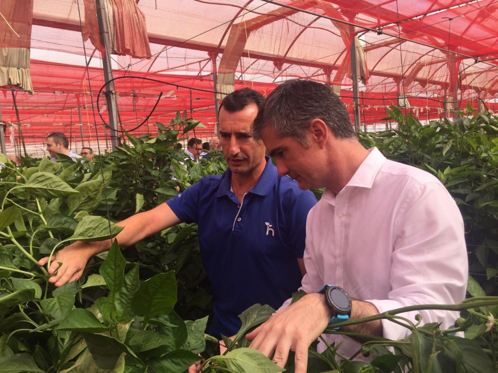 El consejero Miguel ngel del Amor durante su visita a la cooperativa Hortamira