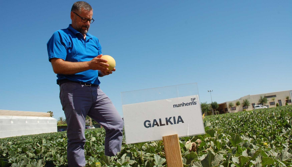 La gama Galkia ofrece un fruto de gran sabor y aroma, resistencia y ptimo comportamiento en los ciclos tardos