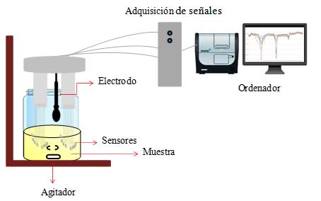 Componentes de la lengua electrnica