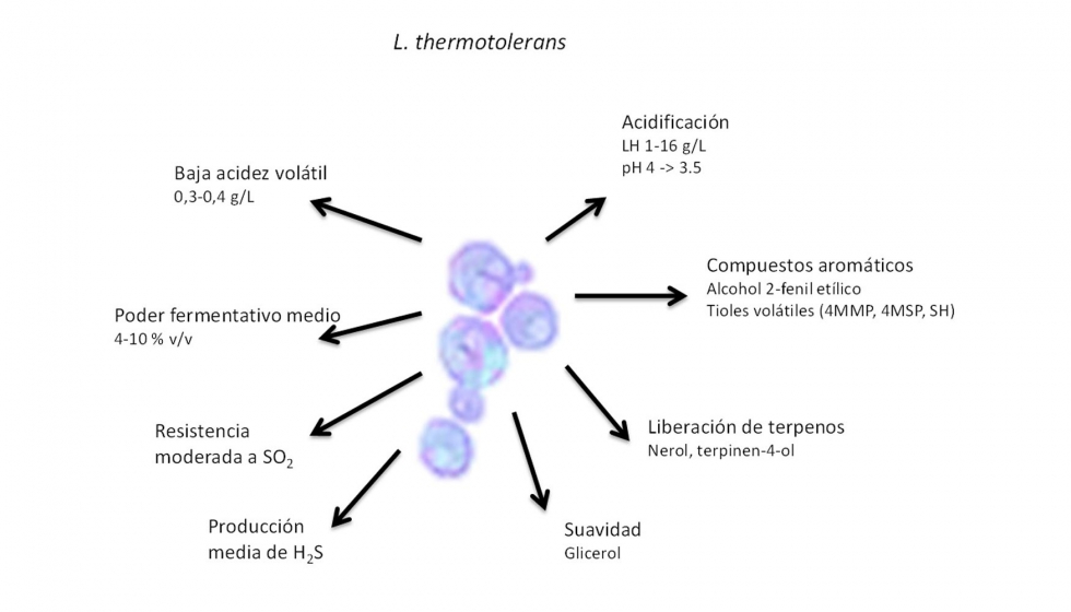 Figura 2. Evolucin del pH en una fermentacin espontnea (lnea de puntos) comparada con otra inoculada con L...