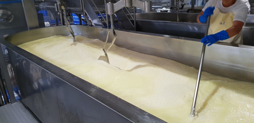 Proceso de elaboracin queso en las instalaciones de la empresa Queizar