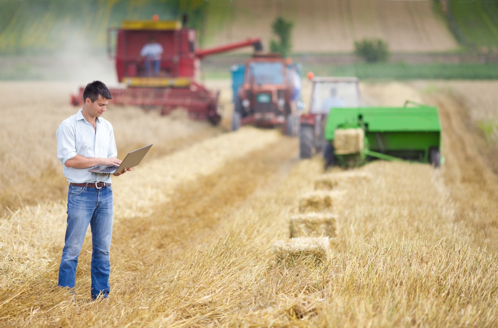 Un agricultor revisa sobre el terreno datos de la cosecha