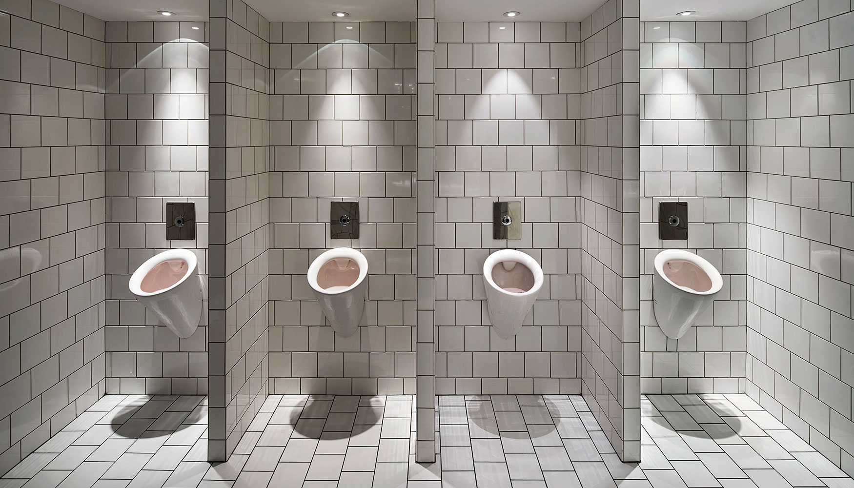 Los elegantes lavabos de la serie Vero decoran la Philarmona con un toque de diseo moderno y clsico...