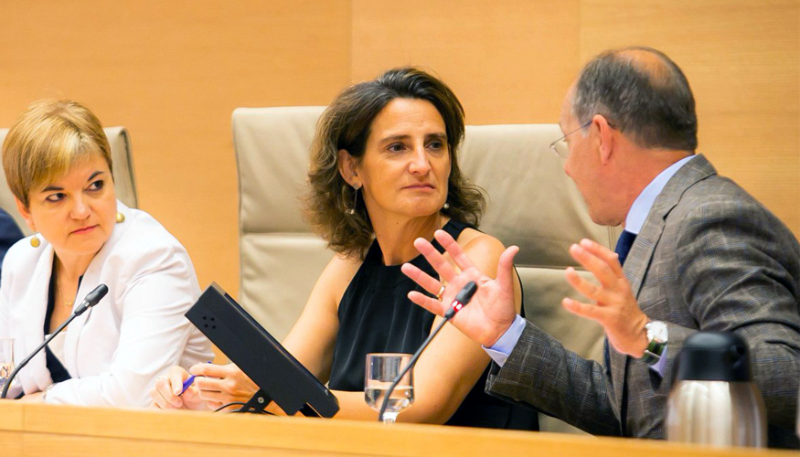 Teresa Ribera, ministra para la Transicin Energtica