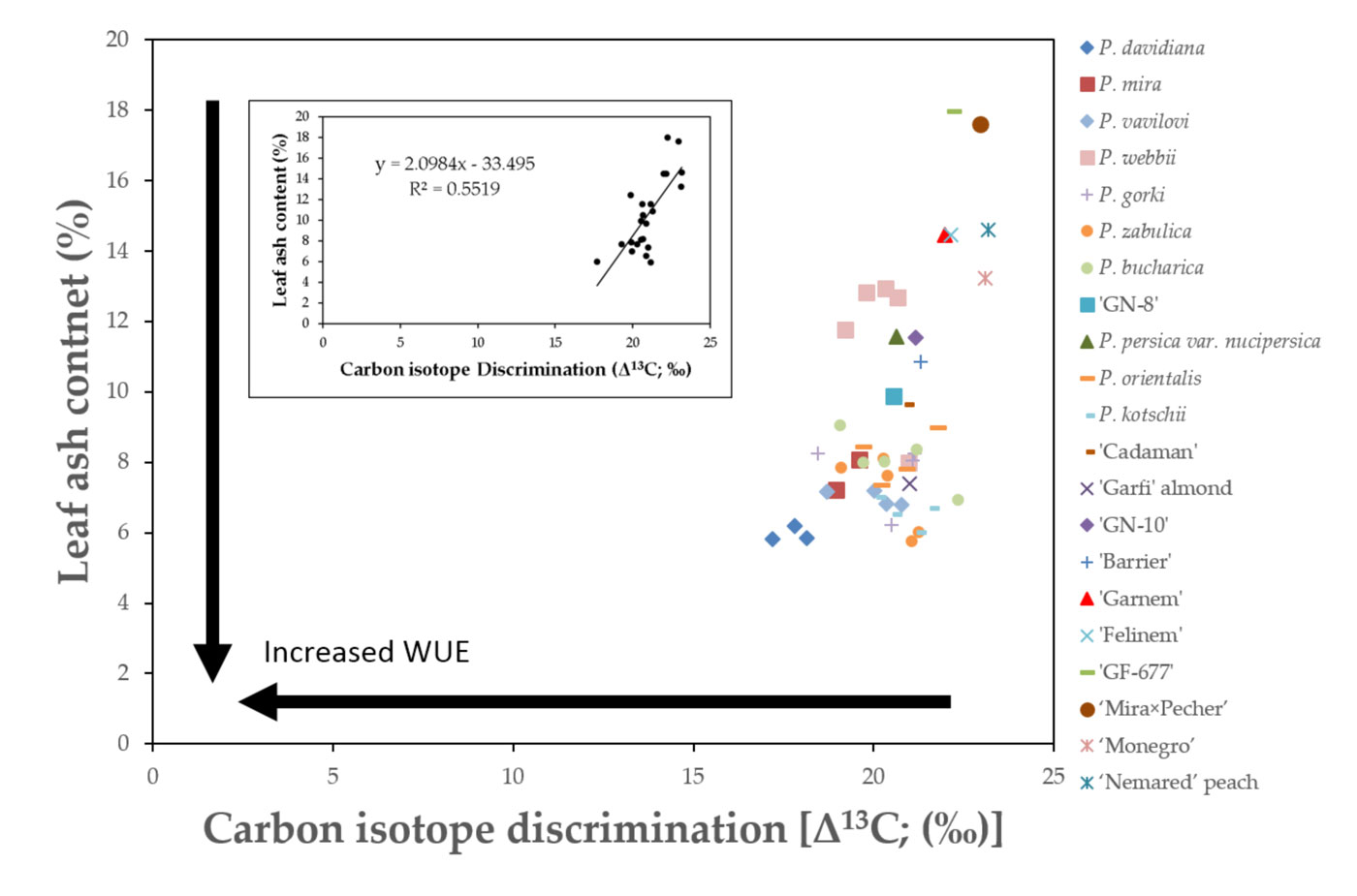Figura 5. Relacin entre la discriminacin del istopo de carbono [Δ13C ()] y el contenido en cenizas foliar en distintos genotipos de Prunus...