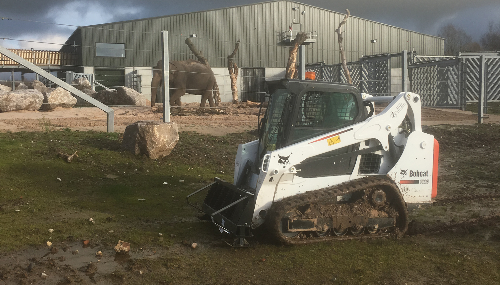 La nueva cargadora compacta de orugas Bobcat T590 est trabajando ya en el desarrollo del nuevo Project Elephant en el zoo de Blackpool...
