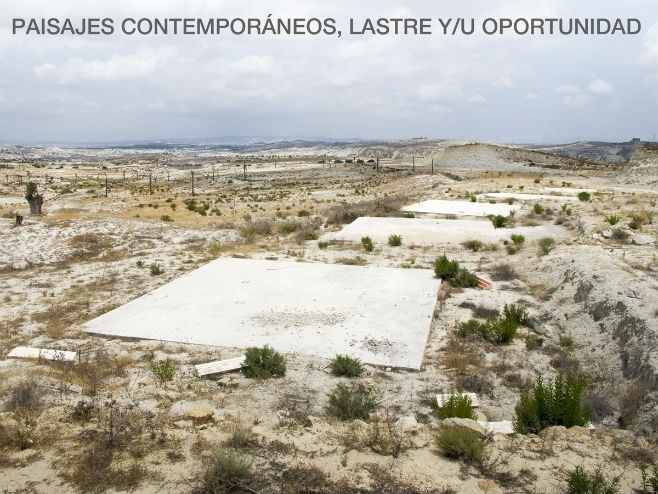 Autor: FOTO: Julia Schulz-Dornburg