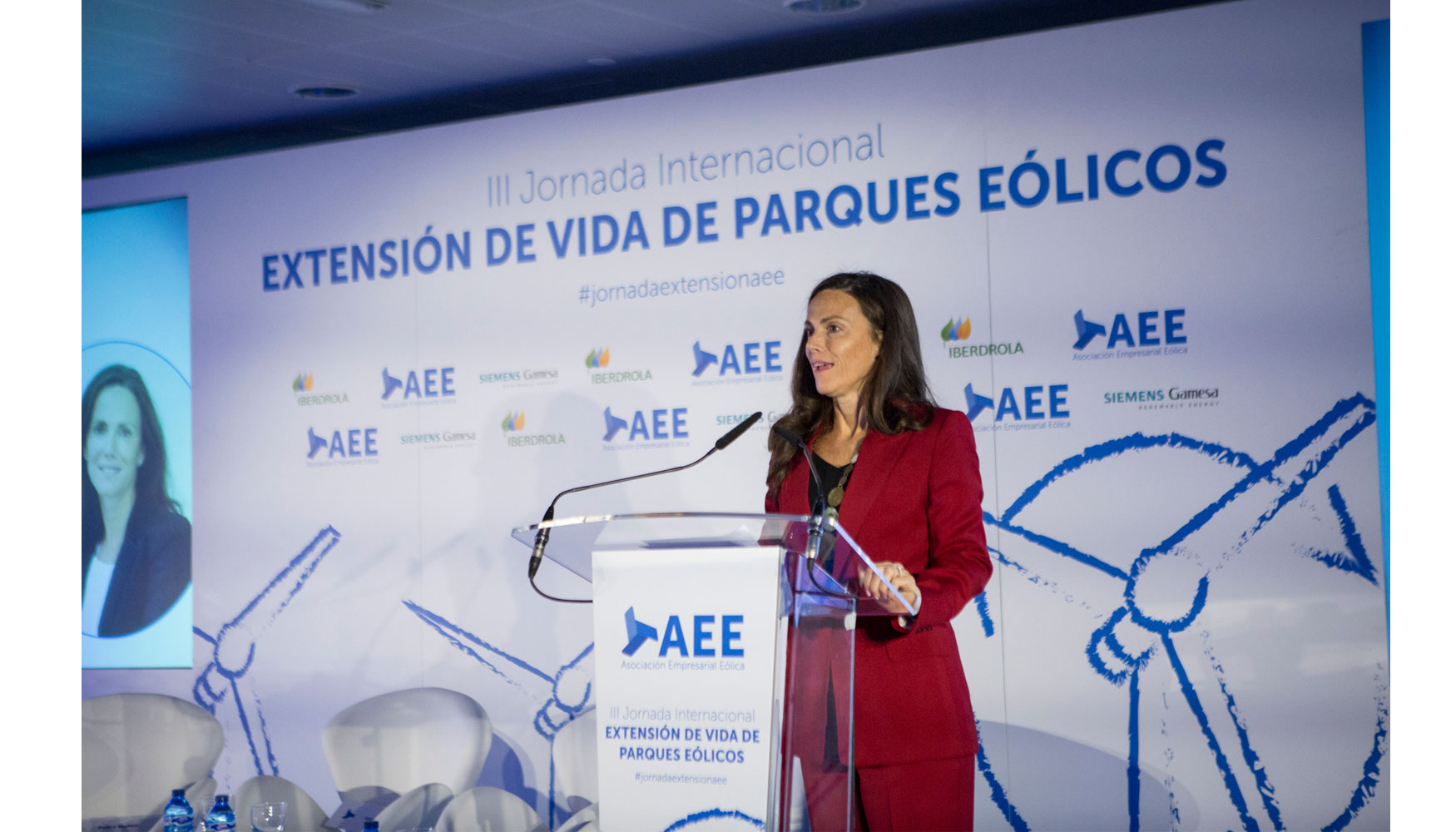 Roco Sicre, presidenta de la Asociacin Empresarial Elica (AEE)