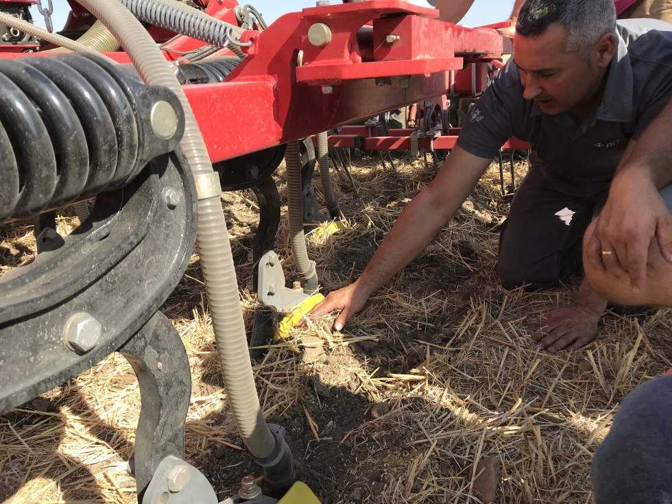 Agricultores analizan la semilla depositada y su profundidad tras la siembra realizada