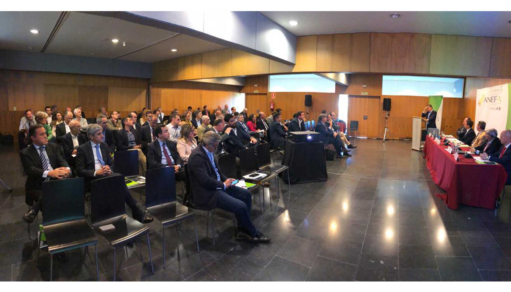 Asistentes a la Asamblea General Anual 2018 de Anefa, celebrada el 23 de octubre en Santiago de Compostela