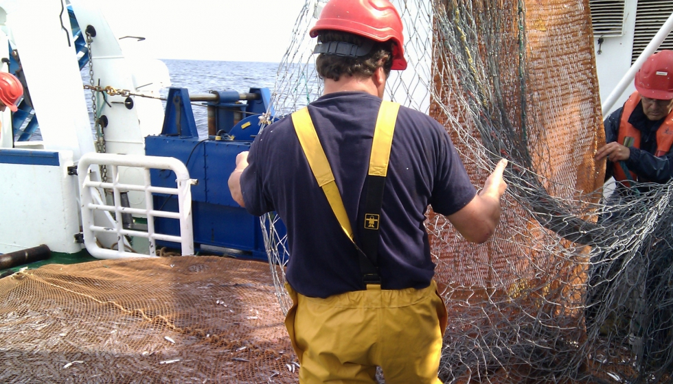 La campaa Juvena 2018 establece en torno a las 490.00 toneladas de anchoa juvenil en el golfo de Bizkaia