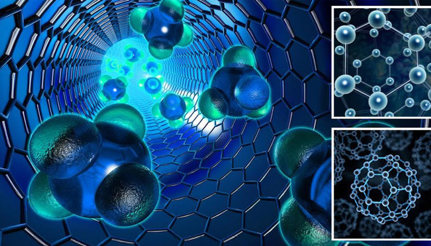 La toxicidad de los nanomateriales manufacturados puede depender en gran medida de numerosas propiedades fisicoqumicas, como el tamao...