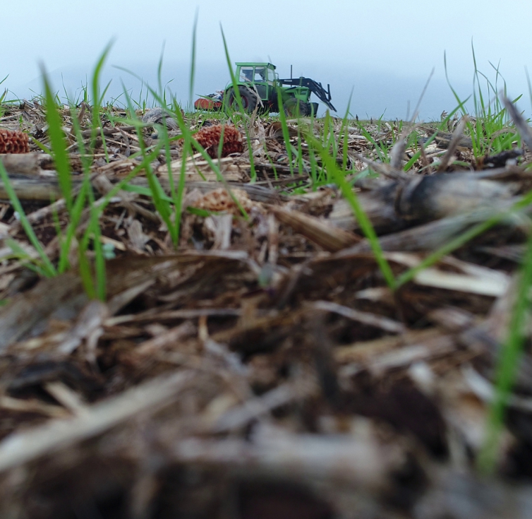 Segn AEACSV, los suelos manejados bajo Agricultura de Conservacin incrementan hasta un 10,4% su contenido en carbono...