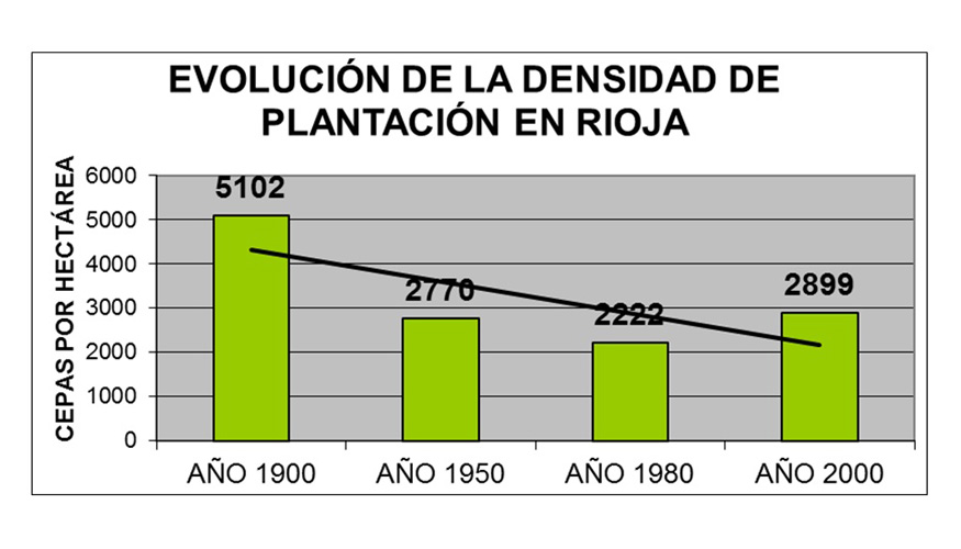 Reduccin de la densidad de plantacin en Rioja en el ltimo siglo