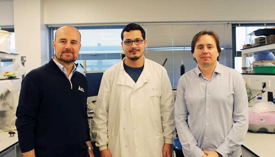 El Dr. Andy Owen de ICL con Vasileios Giannakopoulos y el Dr. Jaime Puertolas