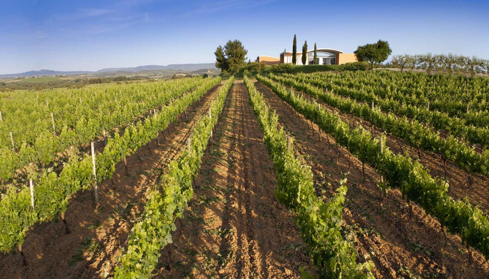 En Jean Leon se producen vinos de finca y vinos ecolgicos de gran calidad