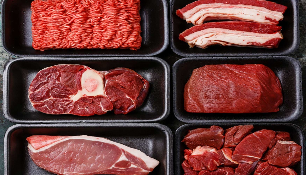 El consumo de carnes en Espaa est dentro de las pautas marcadas por los organismos internacionales de salud