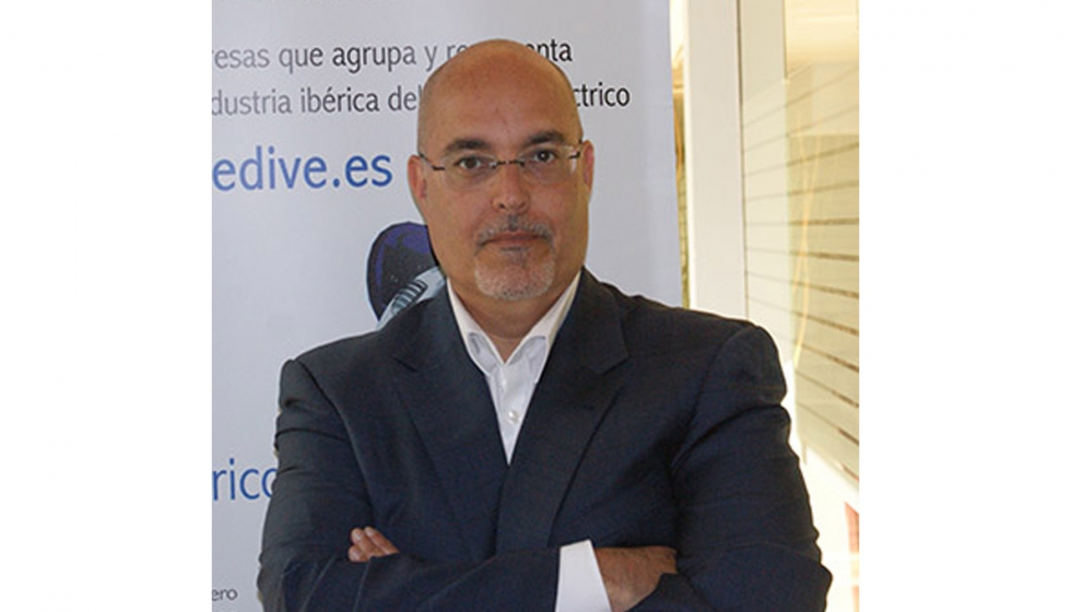 Arturo Prez de Luca, director general de la Asociacin Empresarial para el Desarrollo e Impulso del Vehculo Elctrico (Aedive)...