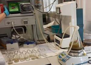 Sistema in vitro usado en los trabajos experimentales (Fuente: UPM)