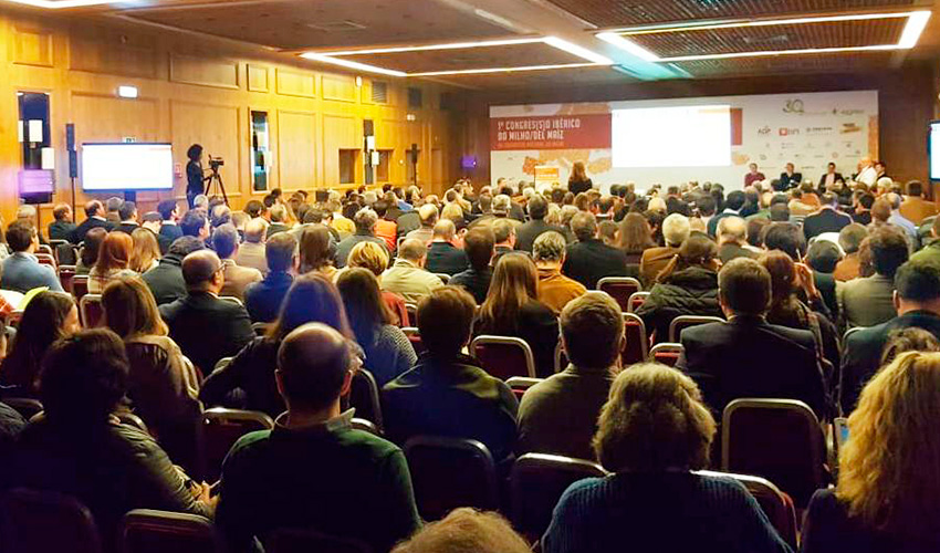 El I Congreso Ibrico del Maz rene en Lisboa a 600 agricultores y tcnicos agrcolas en Espaa y Portugal