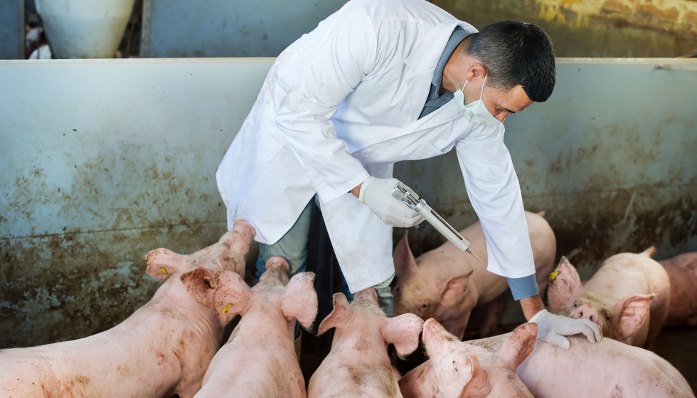 El nuevo informe muestra un cambio a nivel mundial en el uso de antibiticos en animales