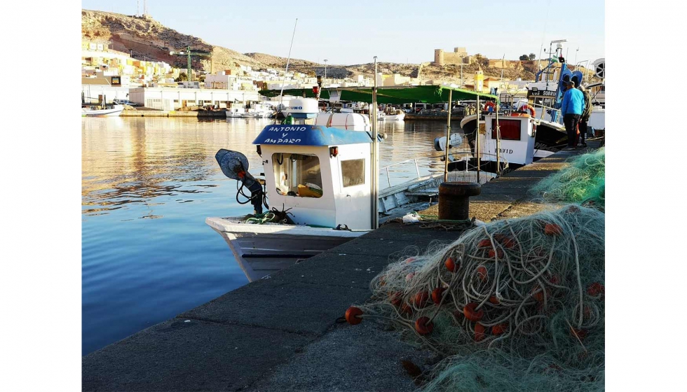 La Lonja del Pescado del Puerto de Almera cerr 2018 con 4,26 millones de kg de producto fresco
