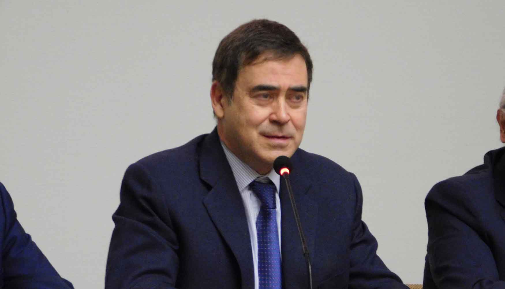 Fernando Pardo, presidente de Semsig