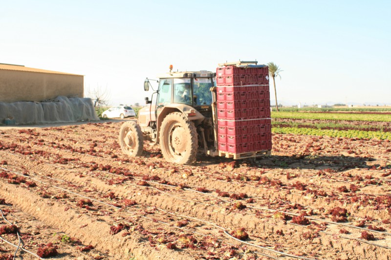 Polymer, cerca de la agricultura espaola