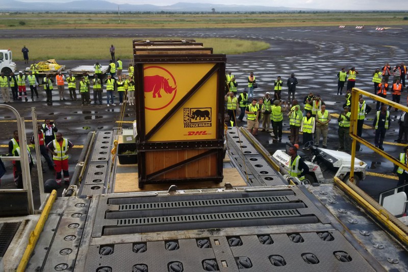 DHL Express. Llegada de Eliska a Tanzania tras ms de 6.000 km en avin