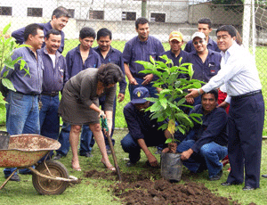 Siembra de un rbol durante la campaa en Guatemala