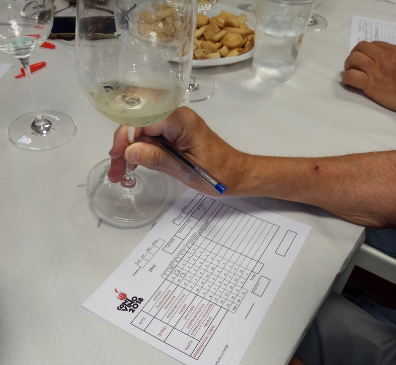 ConVino es el concurso de referencia para las bebidas a base de vino