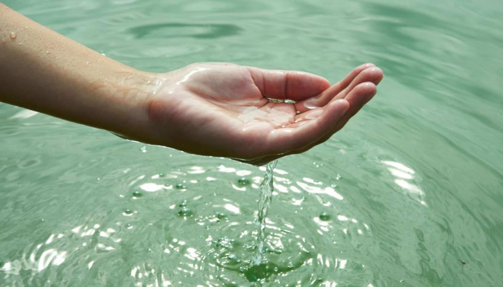 Con motivo del Da Mundial del Agua, Fidex pide dar entrada a la financiacin privada para obtener los ms de 12...