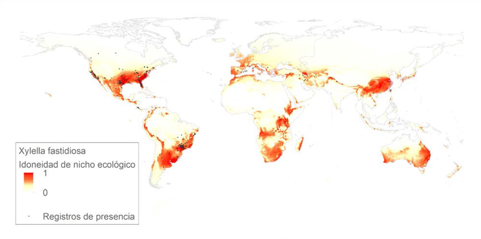 Figura 2. Distribucin potencial global de Xylella fastidiosa. Fuente: Elaboracin propia